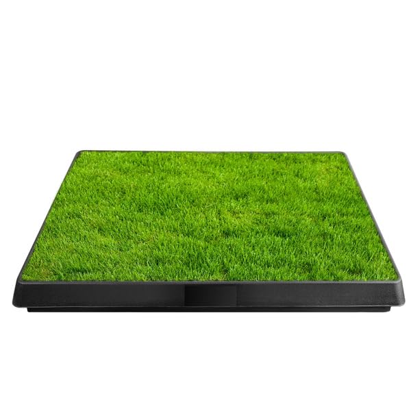 Indoor Dog Potty Training Pad with Removable Waste Tray, Artificial Turf, 25"×20" N715386