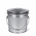 6 Gallon Galvanized Steel Can with Locking Lid P538058