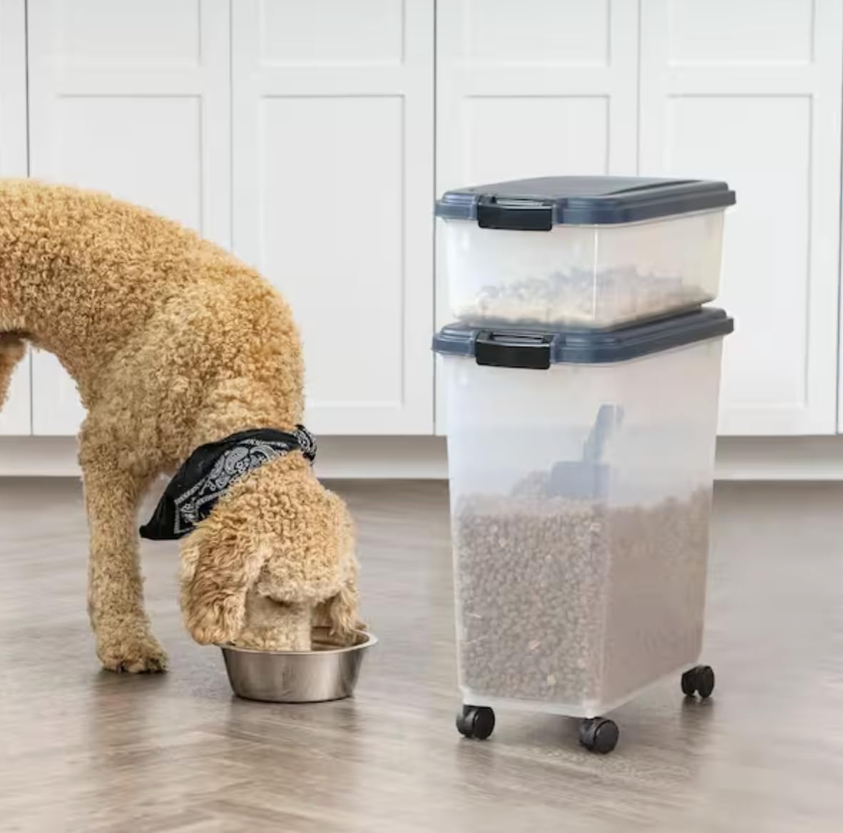Airtight Pet Food Storage Combo with Scoop F162372