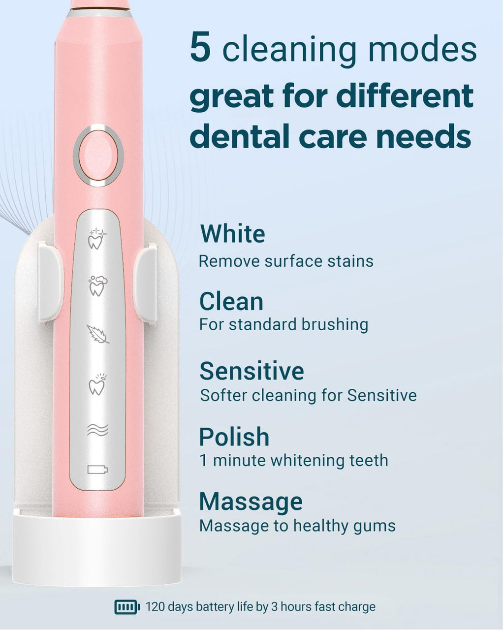2 Pack Rechargeable Electric Toothbrush with 12 Brush Heads & 2 Travel Case A5125