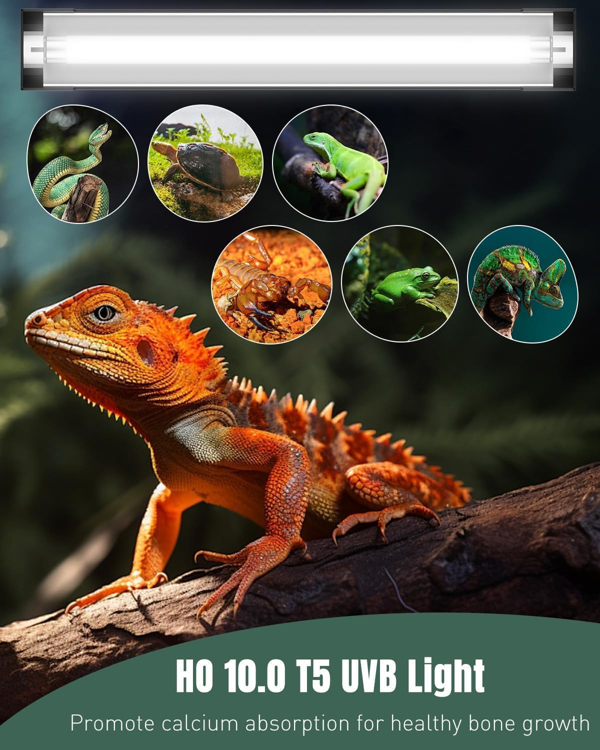 T5 Reptile Light Combo Kit with 2 UVB Tubes, 10.0 UVB Light Fixture, 12 inch S19900