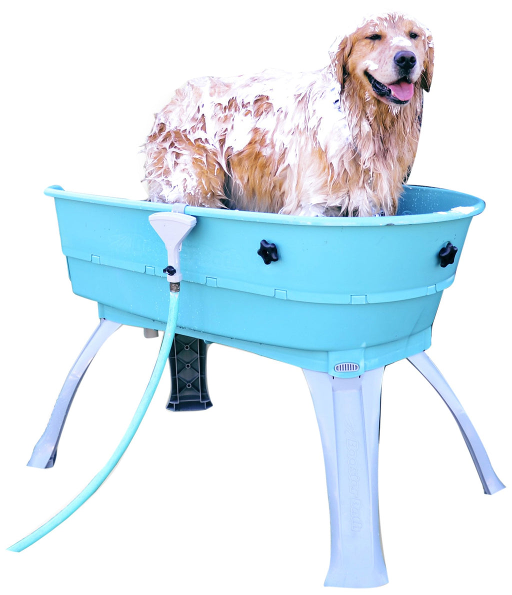 Elevated Pet Bathing Large B453568