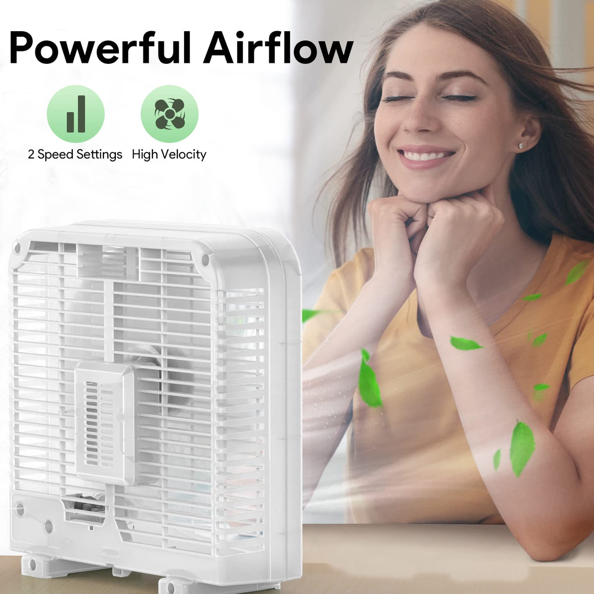 2 Packs 10" Tabletop Box Fan, 2 Speeds, White P650