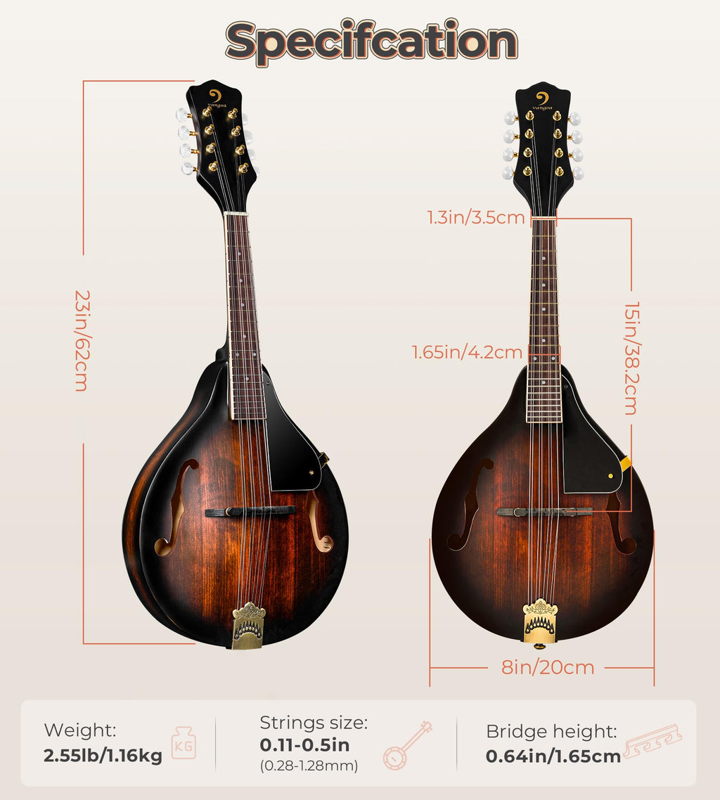 Acoustic Mandolin Instrument Solid Spruce Top 8 String Dark Brown B3903