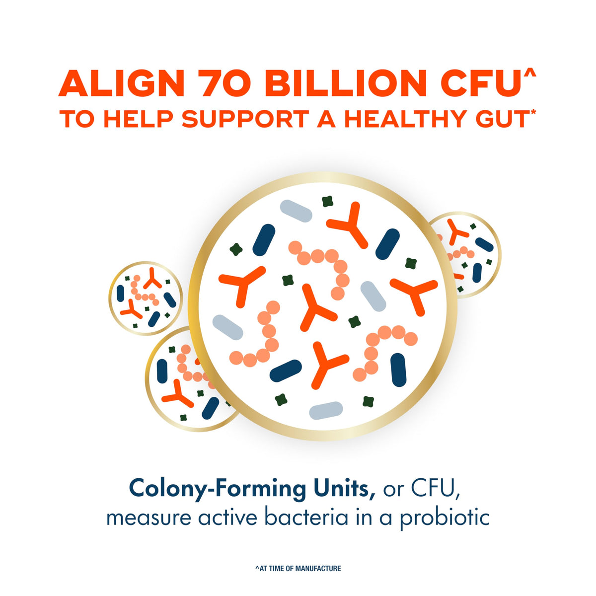 70 Billion CFU 6 Strain Blend Probiotic 30 Capsules U827623
