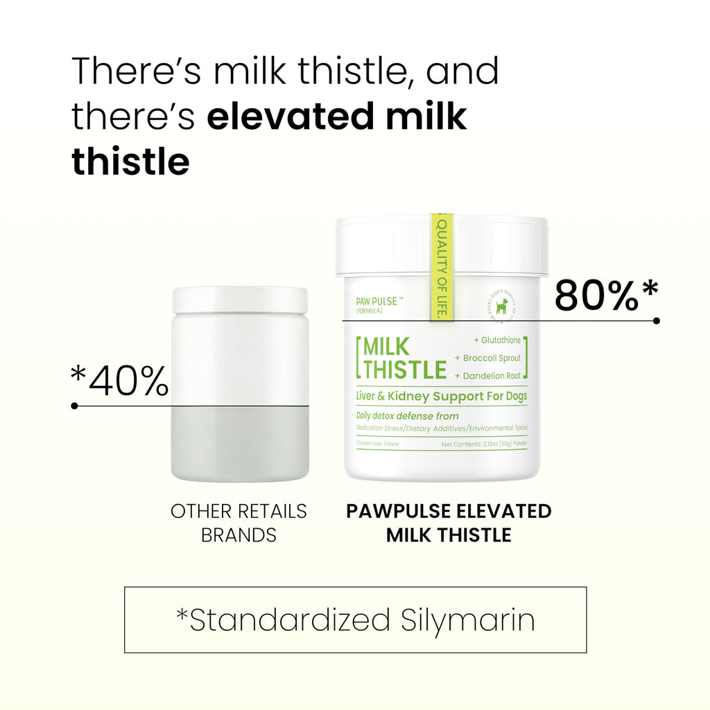 Milk Thistle & Silymarin Powder Liver Support for Dogs 2.12 oz G23555