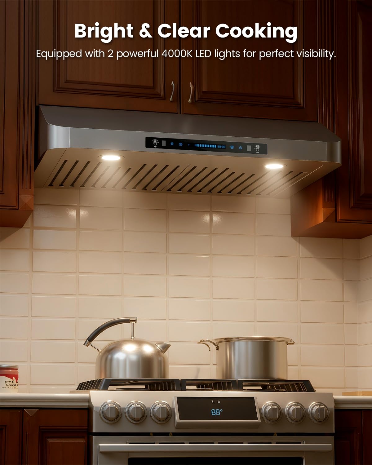 30 Inch Under Cabinet Range Hood C881