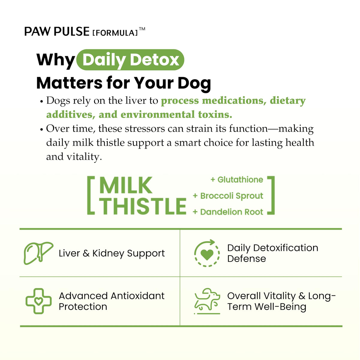 Milk Thistle & Silymarin Powder Liver Support for Dogs 2.12 oz G23555