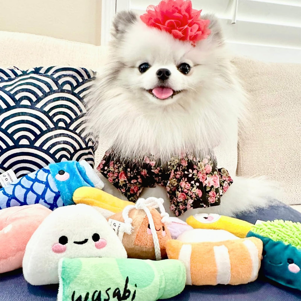 10 PC Squeaky Plush Dog Toys with Bag H8408