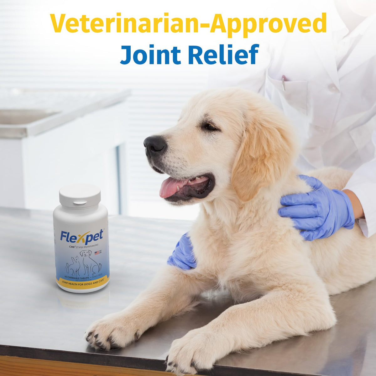 Hip & Joint Supplement for Dogs & Cats with Glucosamine, Collagen, MSM - 60 Tablets A388631