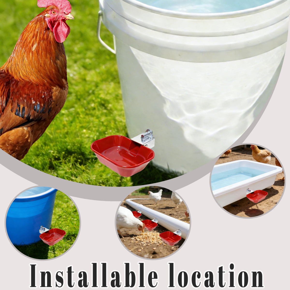 Aluminum Alloy Chicken Waterer Feeder F94949
