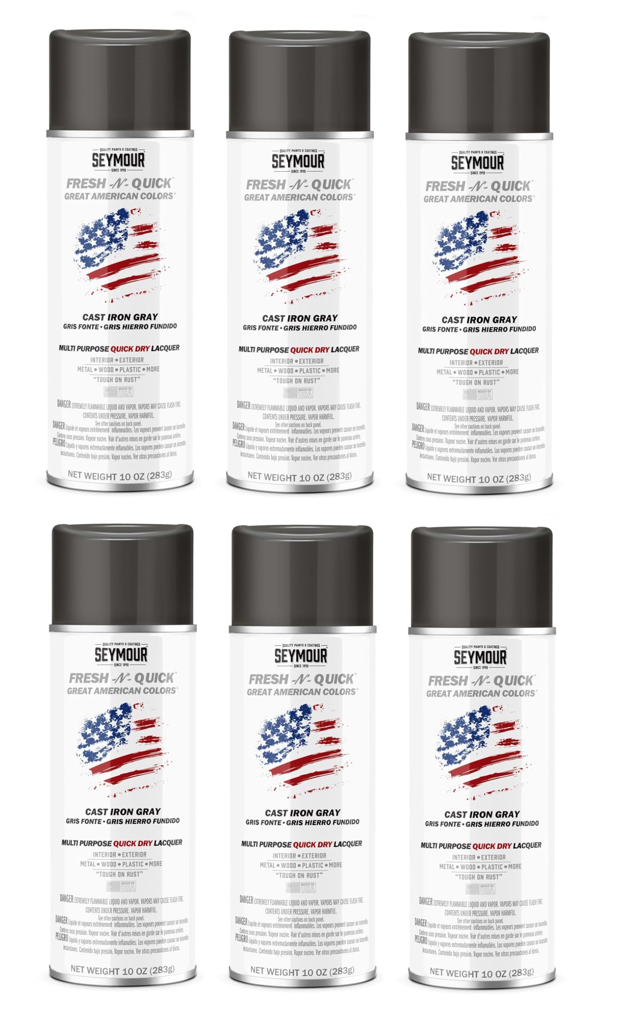 Cast Iron Gray Multi-Purpose Spray Paint 6-Pack F2925