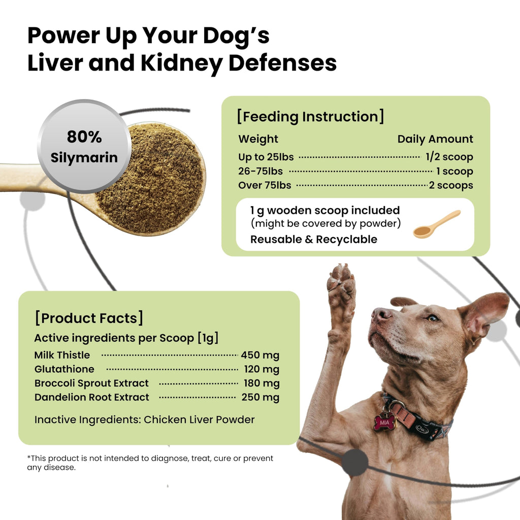 Milk Thistle & Silymarin Powder Liver Support for Dogs 2.12 oz G23555