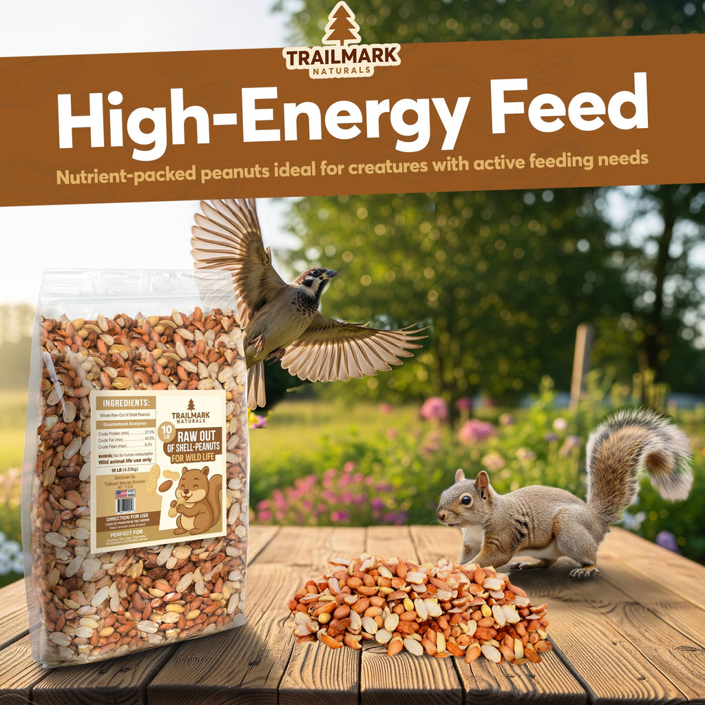 Raw Shelled Peanuts 20 LB N506791