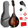 Acoustic Mandolin Instrument Solid Spruce Top 8 String Dark Brown B3903
