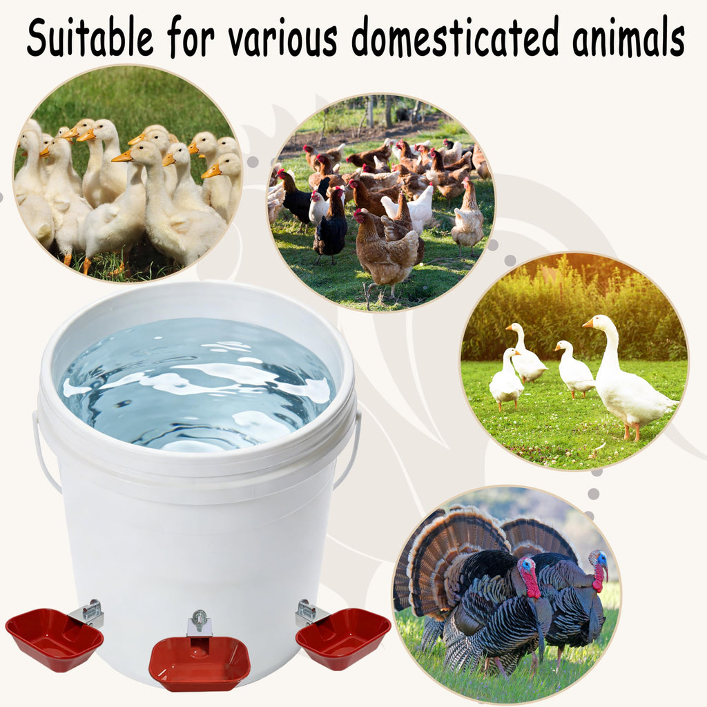 Aluminum Alloy Chicken Waterer Feeder F94949