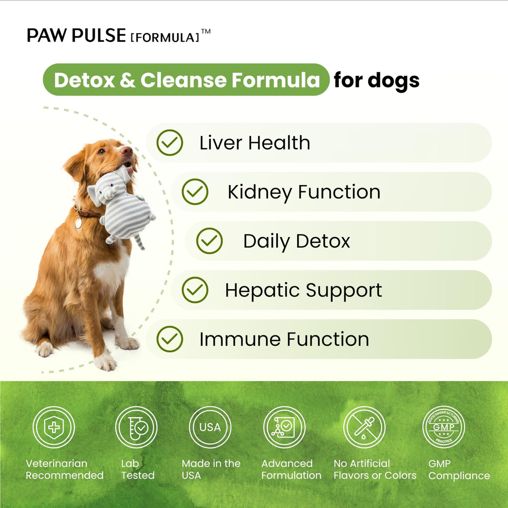 Milk Thistle & Silymarin Powder Liver Support for Dogs 2.12 oz G23555