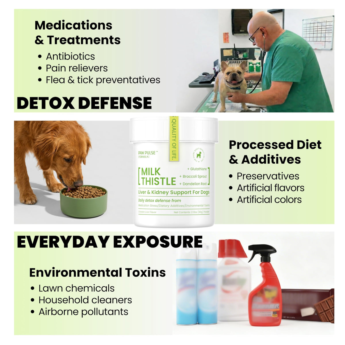 Milk Thistle & Silymarin Powder Liver Support for Dogs 2.12 oz G23555