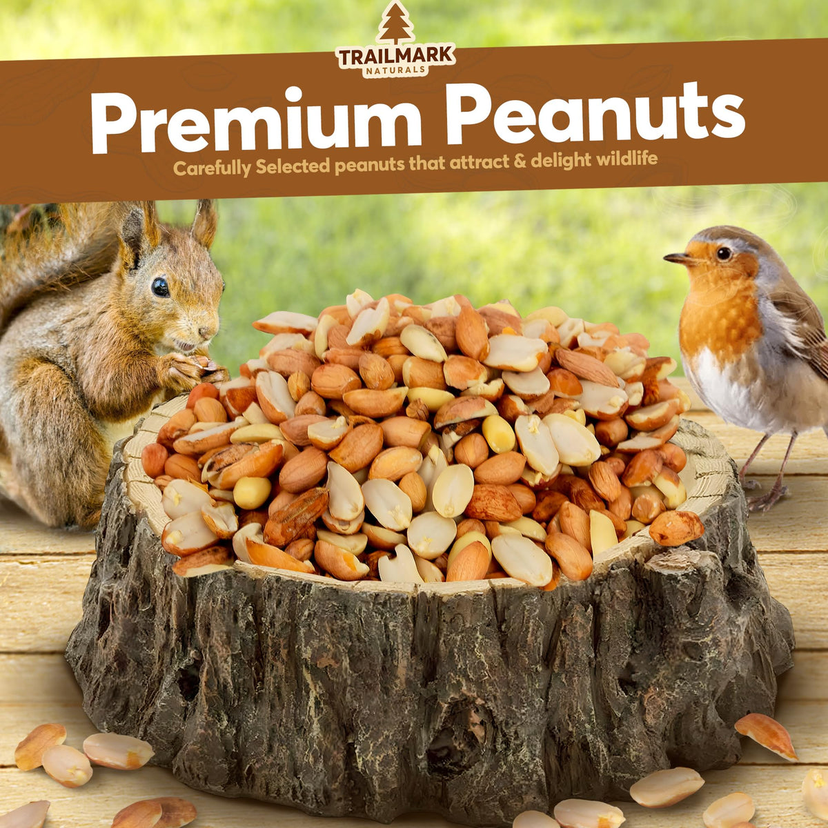 Raw Shelled Peanuts 20 LB N506791