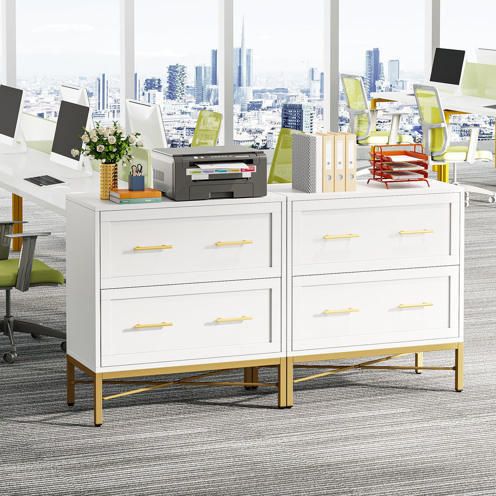 White 2 Drawer Wood File Cabinet D500703