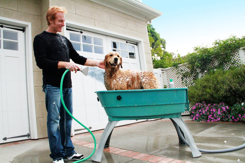 Elevated Pet Bathing Large B453568