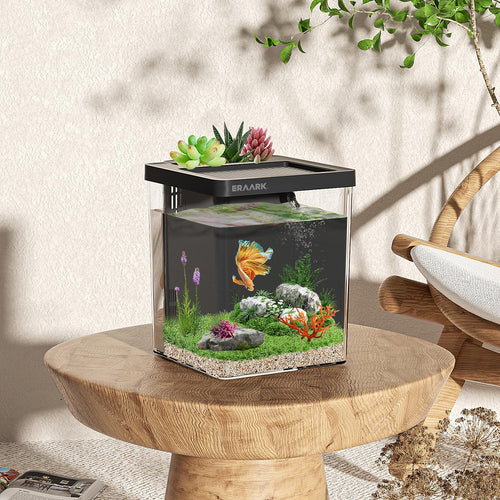 1.5 Gallon Betta Fish Tank Aquarium Kit with Filter LED Light S97696