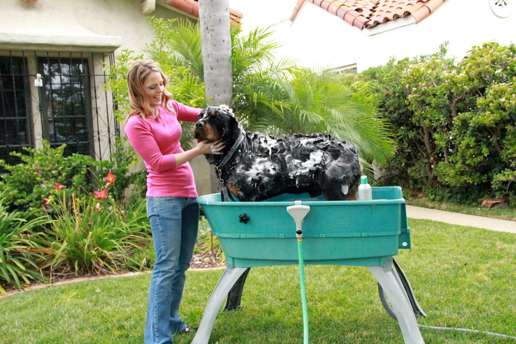 Elevated Pet Bathing Large B453568